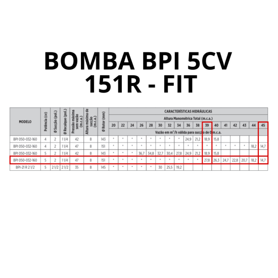 BOMBA SCHNEIDER 5CV TRIF FIT BPI  RT151