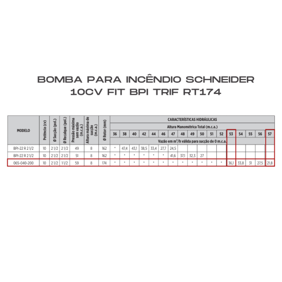 BOMBA  SCHNEIDER 10CV FIT BPI TRIF RT174